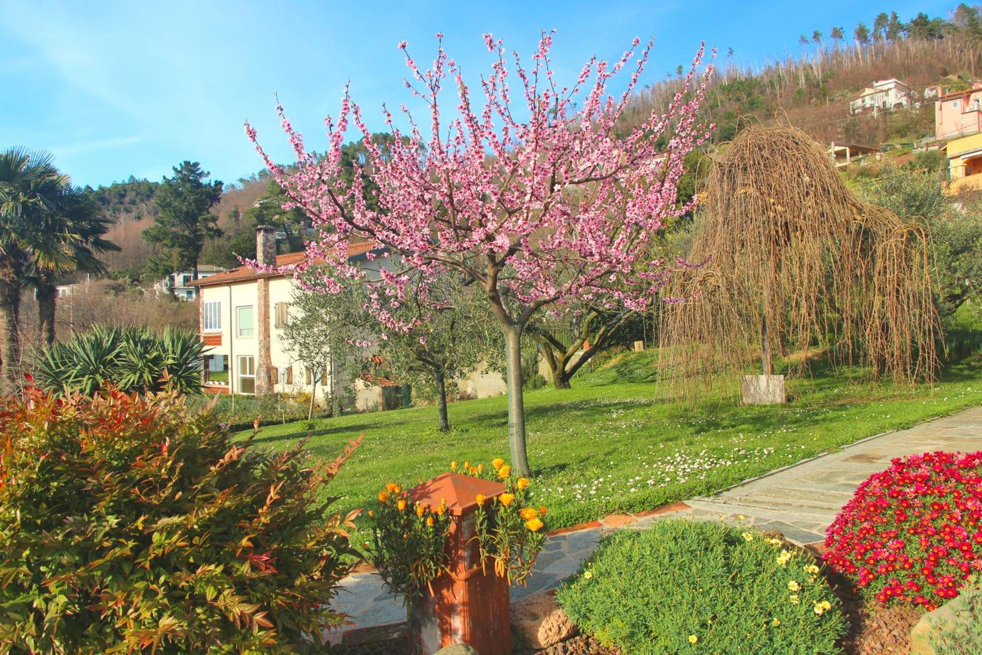 Casa Vacanze Ester Polverara Luaran gambar